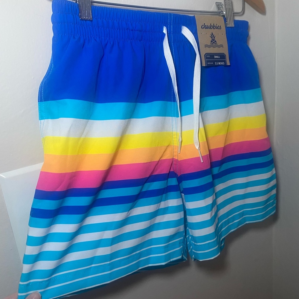 Chubbies Men's Blue Striped Swim Shorts